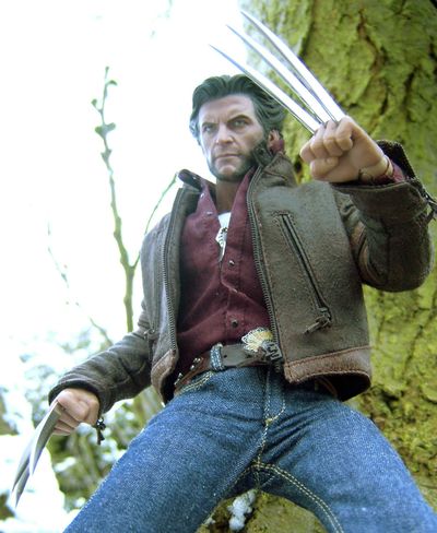 Wolverine sixth scale Marvel action figure by Hot Toys