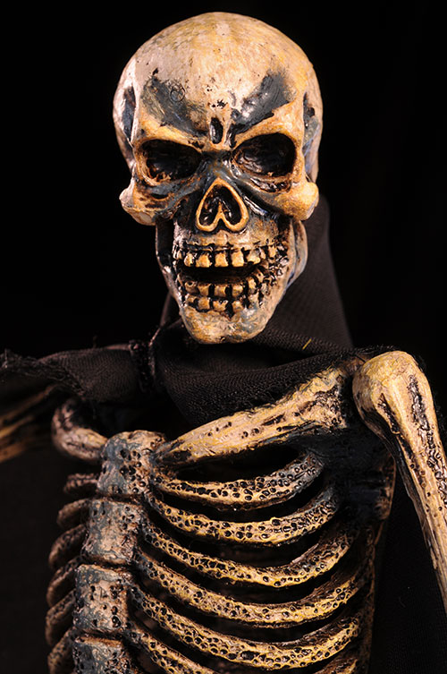 Skeleton Warrior Ray Harryhausen Jason and the Argonauts sixth scale action figure