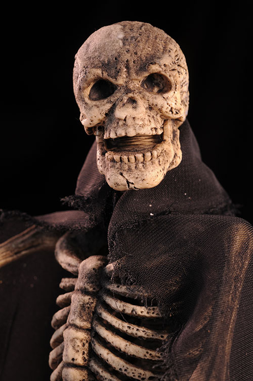 Skeleton Warrior Ray Harryhausen Jason and the Argonauts sixth scale action figure