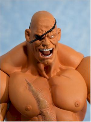 Street Fighter action figures series 1 by SOTA