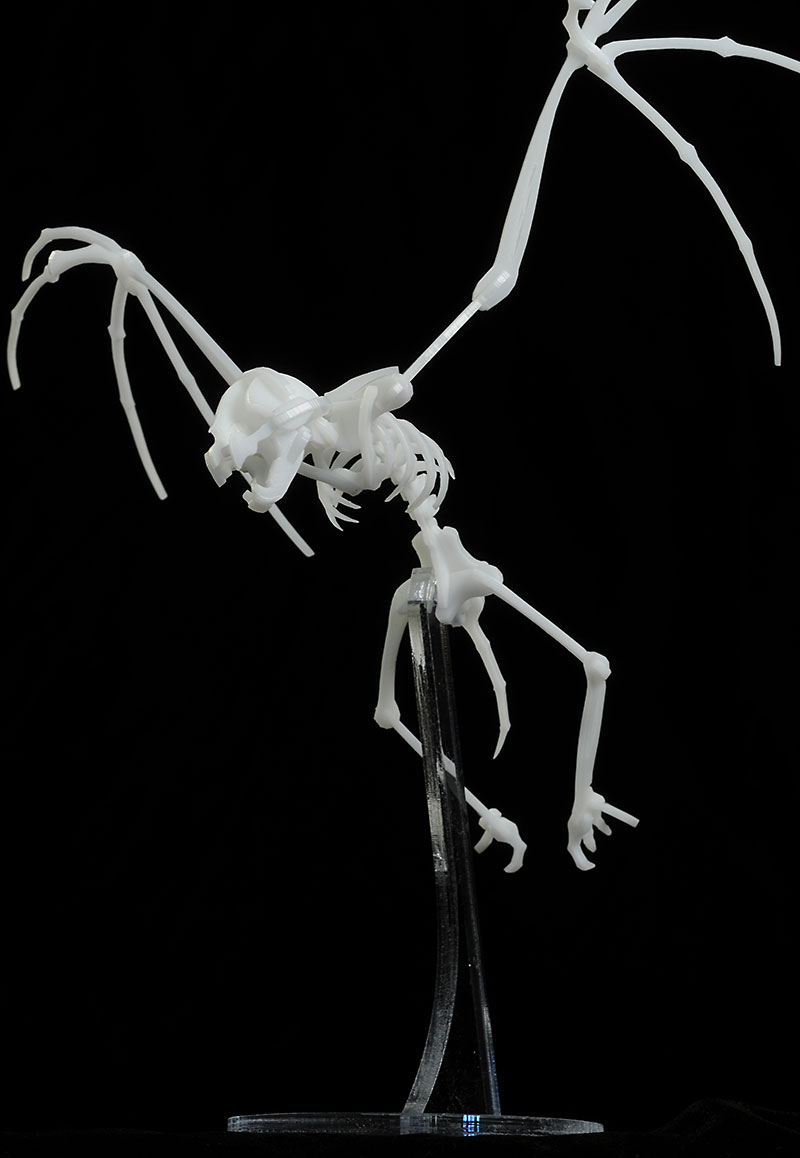BoneLab Skeleton Vampire Bat figure