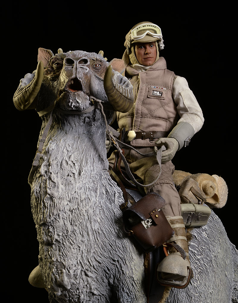 Hoth Luke Skywalker 1//6 scale toy STAR WARS Head Sculpt