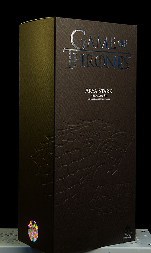 Arya Game of Thrones Season 8 sixth scale action figure by threezero