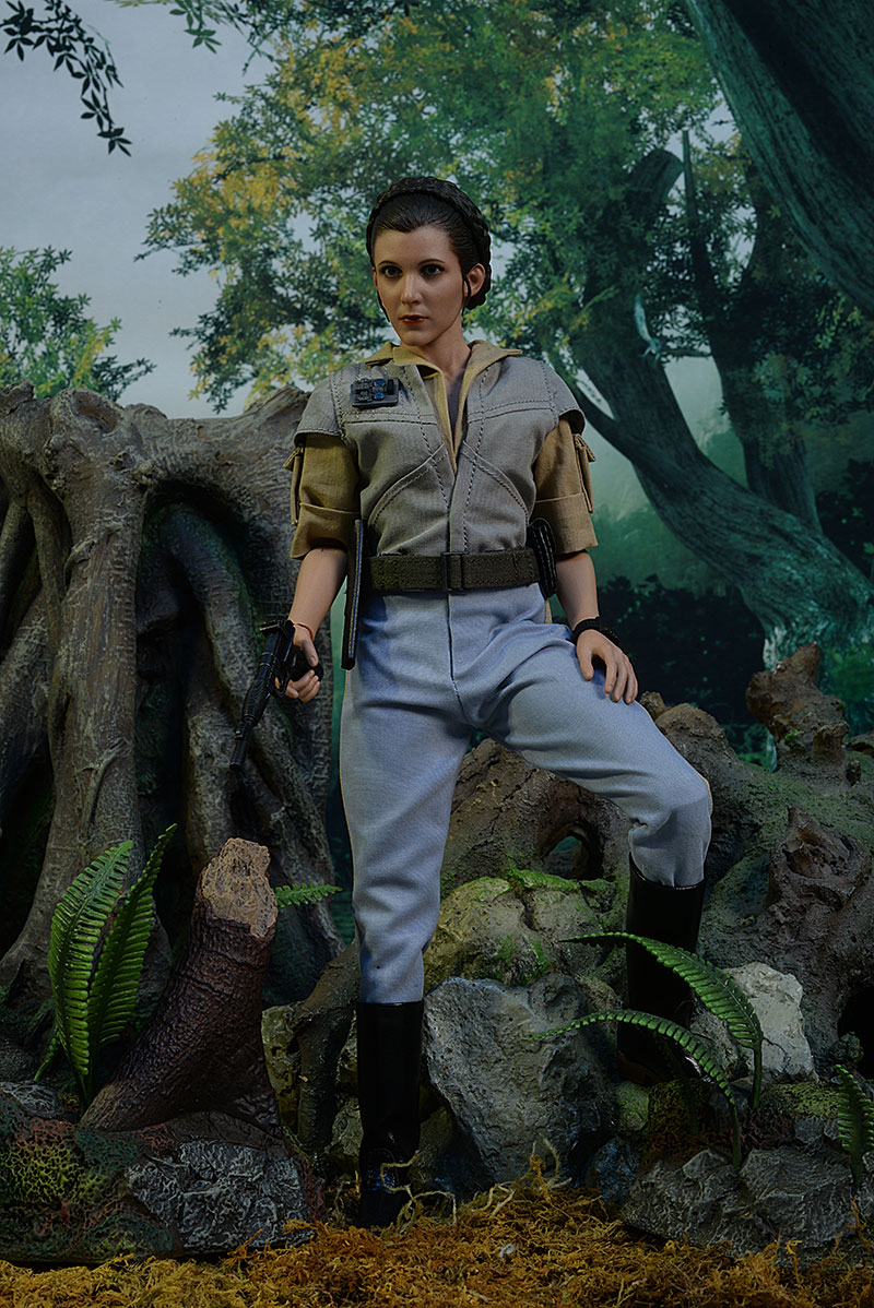 Princess Leia and Wicket Star Wars sixth scale action figures by Hot Toys.