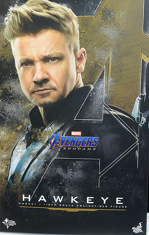 Hawkeye Avengers Endgame sixth scale action figure by Hot Toys