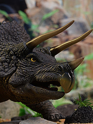 review_triceratops_1s.jpg